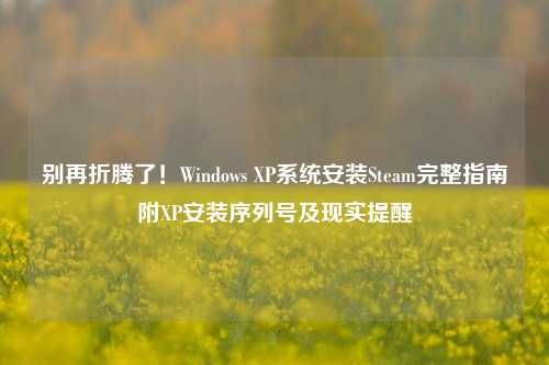 别再折腾了！Windows XP系统安装Steam完整指南附XP安装序列号及现实提醒