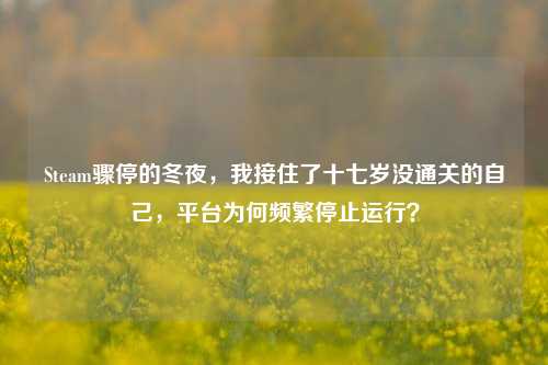 Steam骤停的冬夜,我接住了十七岁没通关的自己,平台为何频繁停止运行?