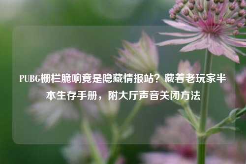 PUBG栅栏脆响竟是隐藏情报站？藏着老玩家半本生存手册，附大厅声音关闭方法