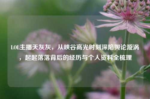 LOL主播天灰灰，从峡谷高光时刻深陷舆论漩涡，起起落落背后的经历与个人资料全梳理