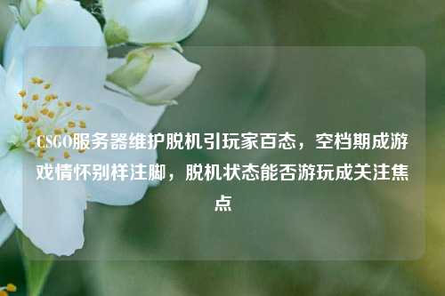 CSGO服务器维护脱机引玩家百态，空档期成游戏情怀别样注脚，脱机状态能否游玩成关注焦点