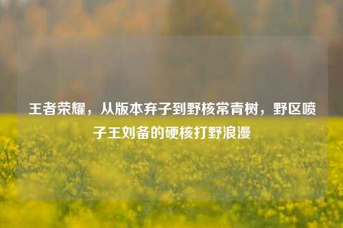 王者荣耀，从版本弃子到野核常青树，野区喷子王刘备的硬核打野浪漫