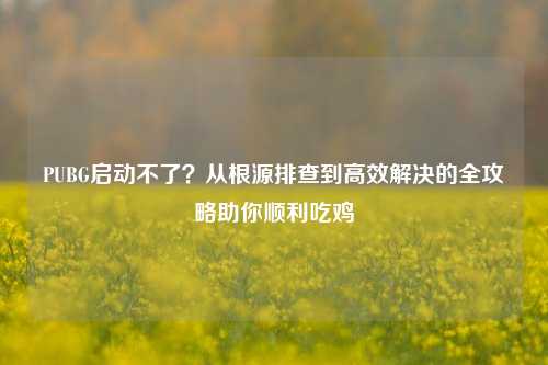 PUBG启动不了？从根源排查到高效解决的全攻略助你顺利吃鸡