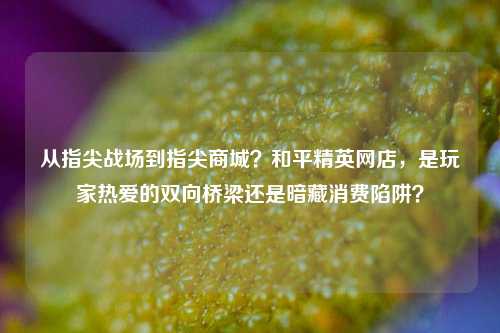 从指尖战场到指尖商城?和平精英网店,是玩家热爱的双向桥梁还是暗藏消费陷阱?