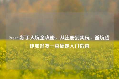 Steam新手入坑全攻略，从注册到爽玩，避坑省钱加好友一篇搞定入门指南