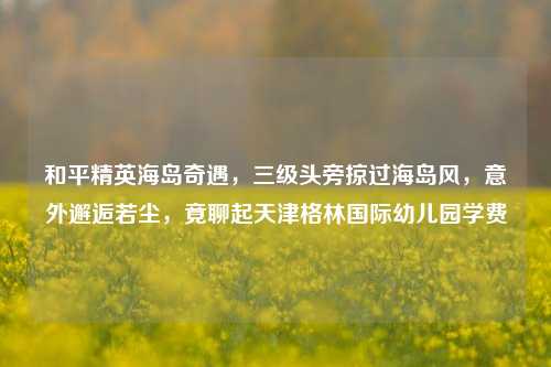 和平精英海岛奇遇，三级头旁掠过海岛风，意外邂逅若尘，竟聊起天津格林国际幼儿园学费