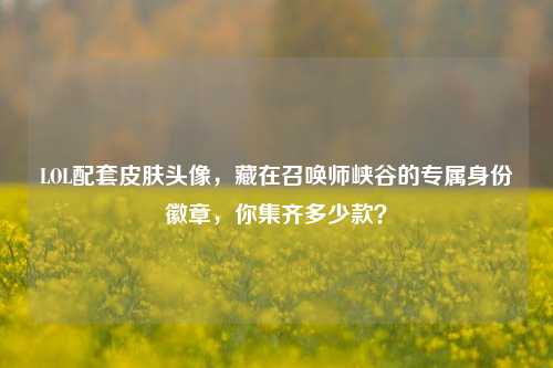 LOL配套皮肤头像,藏在召唤师峡谷的专属身份徽章,你集齐多少款?