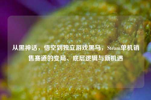 从黑神话,悟空到独立游戏黑马,Steam单机销售赛道的变局、底层逻辑与新机遇