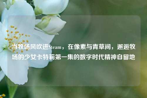 当牧场风吹进Steam,在像素与青草间,邂逅牧场的少女卡特莉第一集的数字时代精神自留地