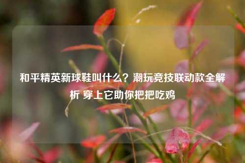 和平精英新球鞋叫什么？潮玩竞技联动款全解析 穿上它助你把把吃鸡