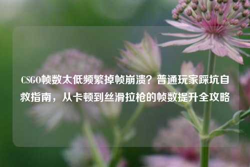 CSGO帧数太低频繁掉帧崩溃?普通玩家踩坑自救指南,从卡顿到丝滑拉枪的帧数提升全攻略