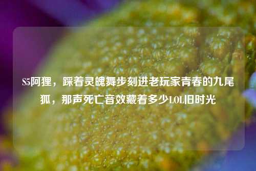 S5阿狸，踩着灵魄舞步刻进老玩家青春的九尾狐，那声死亡音效藏着多少LOL旧时光