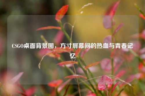 CSGO桌面背景图,方寸屏幕间的热血与青春记忆