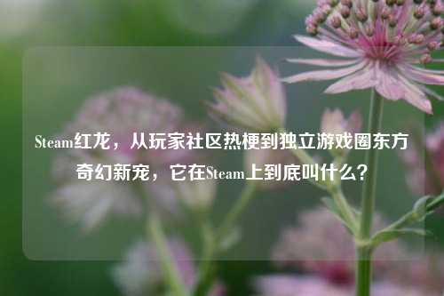 Steam红龙,从玩家社区热梗到独立游戏圈东方奇幻新宠,它在Steam上到底叫什么?