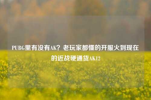 PUBG里有没有AK？老玩家都懂的开服火到现在的近战硬通货AK12