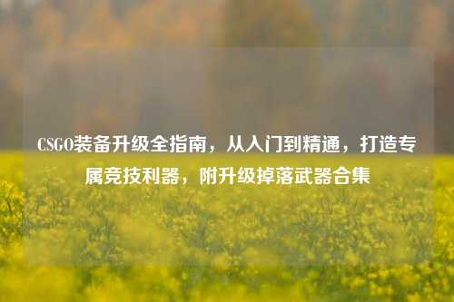 CSGO装备升级全指南,从入门到精通,打造专属竞技利器,附升级掉落武器合集