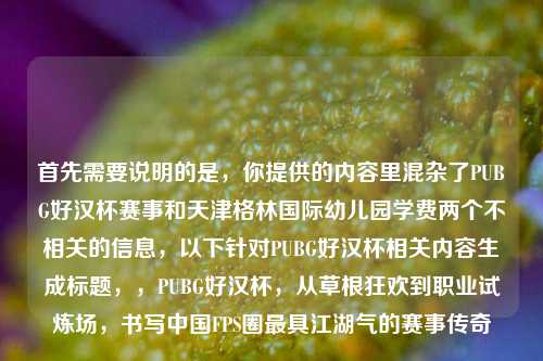 首先需要说明的是,你提供的内容里混杂了PUBG好汉杯赛事和天津格林国际幼儿园学费两个不相关的信息,以下针对PUBG好汉杯相关内容生成标题,,PUBG好汉杯,从草根狂欢到职业试炼场,书写中国FPS圈最具江湖气的赛事传奇