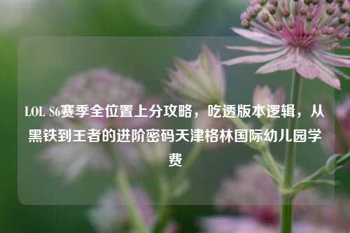 LOL S6赛季全位置上分攻略，吃透版本逻辑，从黑铁到王者的进阶密码天津格林国际幼儿园学费