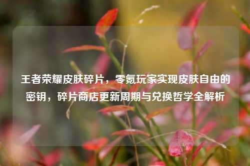 王者荣耀皮肤碎片,零氪玩家实现皮肤自由的密钥,碎片商店更新周期与兑换哲学全解析