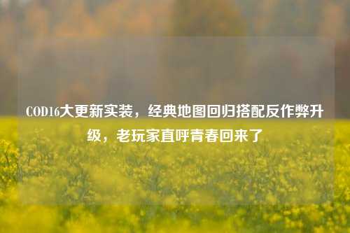 COD16大更新实装,经典地图回归搭配反作弊升级,老玩家直呼青春回来了