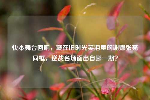 快本舞台回响,藏在旧时光笑泪里的谢娜张亮同框,逆战名场面出自哪一期?
