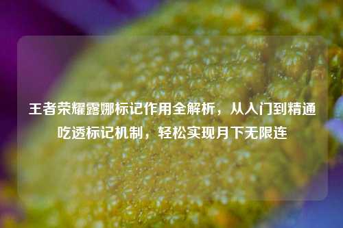 王者荣耀露娜标记作用全解析,从入门到精通吃透标记机制,轻松实现月下无限连
