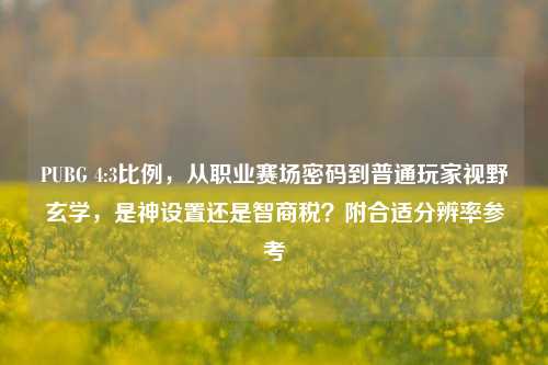 PUBG 4:3比例,从职业赛场密码到普通玩家视野玄学,是神设置还是智商税?附合适分辨率参考