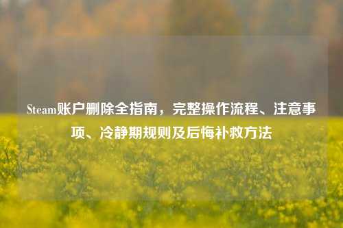 Steam账户删除全指南，完整操作流程、注意事项、冷静期规则及后悔补救方法