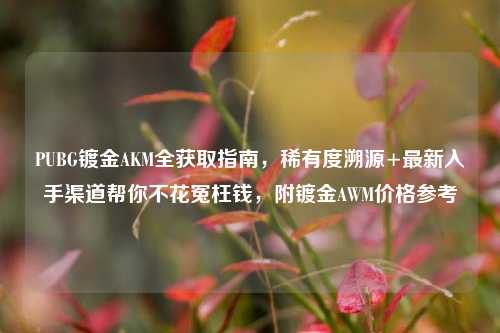 PUBG镀金AKM全获取指南，稀有度溯源+最新入手渠道帮你不花冤枉钱，附镀金AWM价格参考