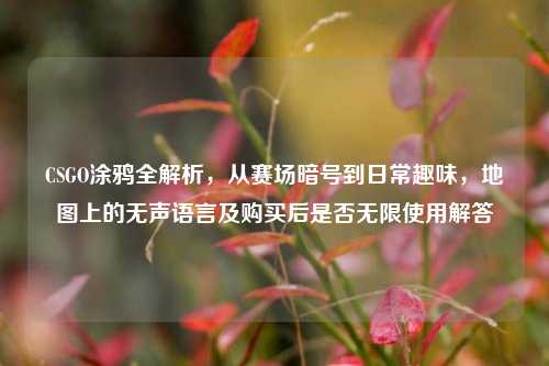 CSGO涂鸦全解析，从赛场暗号到日常趣味，地图上的无声语言及购买后是否无限使用解答