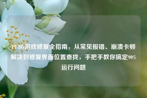 PUBG游戏修复全指南,从常见报错、崩溃卡顿解决到修复界面位置查找,手把手教你搞定90%运行问题