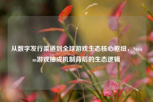 从数字发行渠道到全球游戏生态核心枢纽,Steam游戏抽成机制背后的生态逻辑