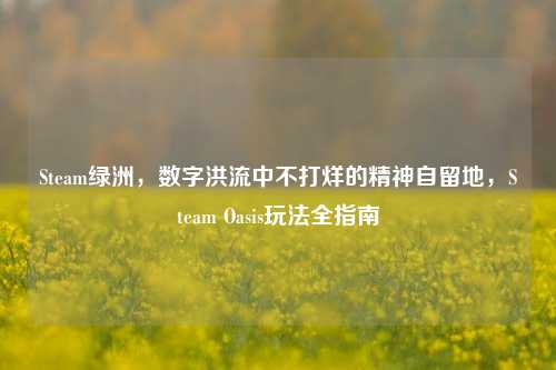 Steam绿洲,数字洪流中不打烊的精神自留地,Steam Oasis玩法全指南