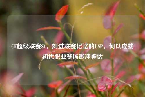 CF超级联赛S1,刻进联赛记忆的USP,何以成就初代职业赛场微冲神话
