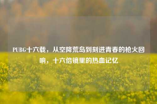 PUBG十六载，从空降荒岛到刻进青春的枪火回响，十六倍镜里的热血记忆