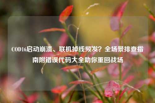 COD16启动崩溃、联机掉线频发?全场景排查指南附错误代码大全助你重回战场
