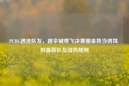 PUBG遇渣队友，跳伞喊带飞决赛圈拿我当诱饵 附最新队友误伤规则