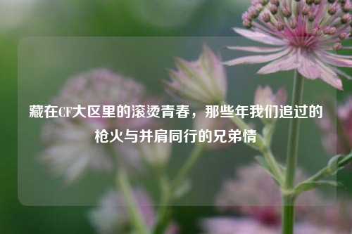 藏在CF大区里的滚烫青春,那些年我们追过的枪火与并肩同行的兄弟情