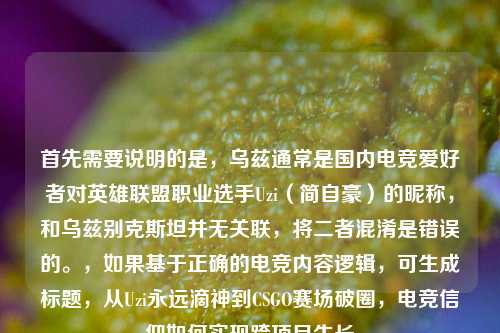 首先需要说明的是，乌兹通常是国内电竞爱好者对英雄联盟职业选手Uzi（简自豪）的昵称，和乌兹别克斯坦并无关联，将二者混淆是错误的。，如果基于正确的电竞内容逻辑，可生成标题，从Uzi永远滴神到CSGO赛场破圈，电竞信仰如何实现跨项目生长