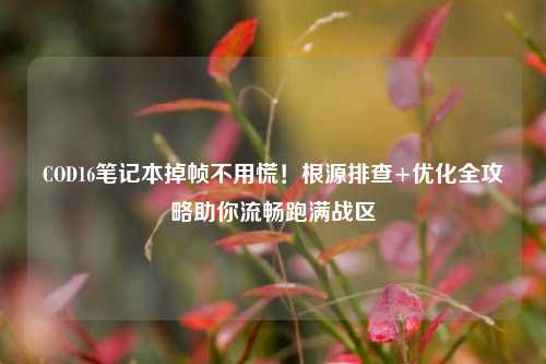 COD16笔记本掉帧不用慌！根源排查+优化全攻略助你流畅跑满战区