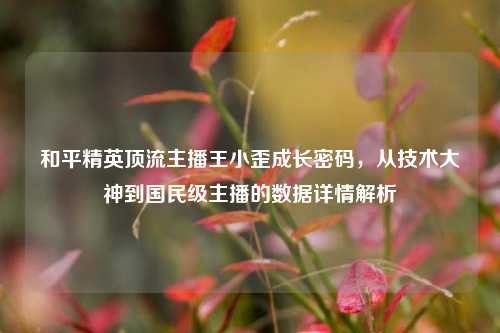 和平精英顶流主播王小歪成长密码，从技术大神到国民级主播的数据详情解析