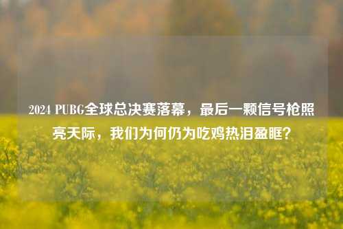2024 PUBG全球总决赛落幕，最后一颗信号枪照亮天际，我们为何仍为吃鸡热泪盈眶？