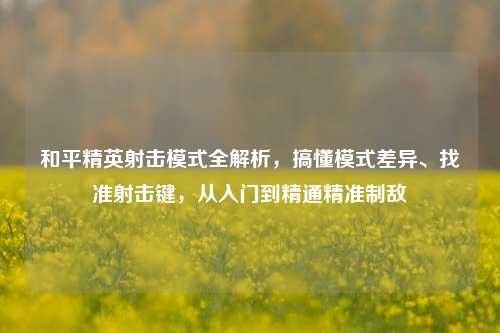 和平精英射击模式全解析,搞懂模式差异、找准射击键,从入门到精通精准制敌