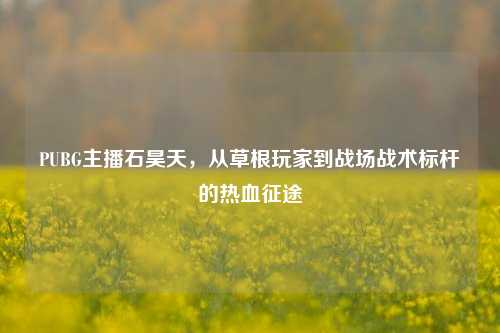 PUBG主播石昊天,从草根玩家到战场战术标杆的热血征途