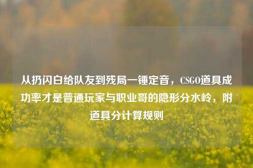 从扔闪白给队友到残局一锤定音，CSGO道具成功率才是普通玩家与职业哥的隐形分水岭，附道具分计算规则