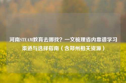 河南STEAM教育去哪找?一文梳理省内靠谱学习渠道与选择指南(含郑州相关资源)