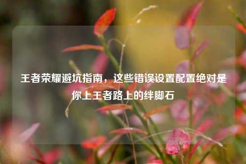 王者荣耀避坑指南,这些错误设置配置绝对是你上王者路上的绊脚石