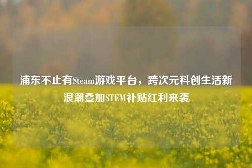 浦东不止有Steam游戏平台，跨次元科创生活新浪潮叠加STEM补贴红利来袭