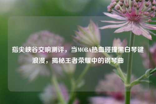 指尖峡谷交响测评,当MOBA热血碰撞黑白琴键浪漫,揭秘王者荣耀中的钢琴曲