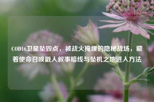 COD16卫星坠毁点,被战火掩埋的隐秘战场,藏着使命召唤戳人叙事暗线与坠机之地进入方法
